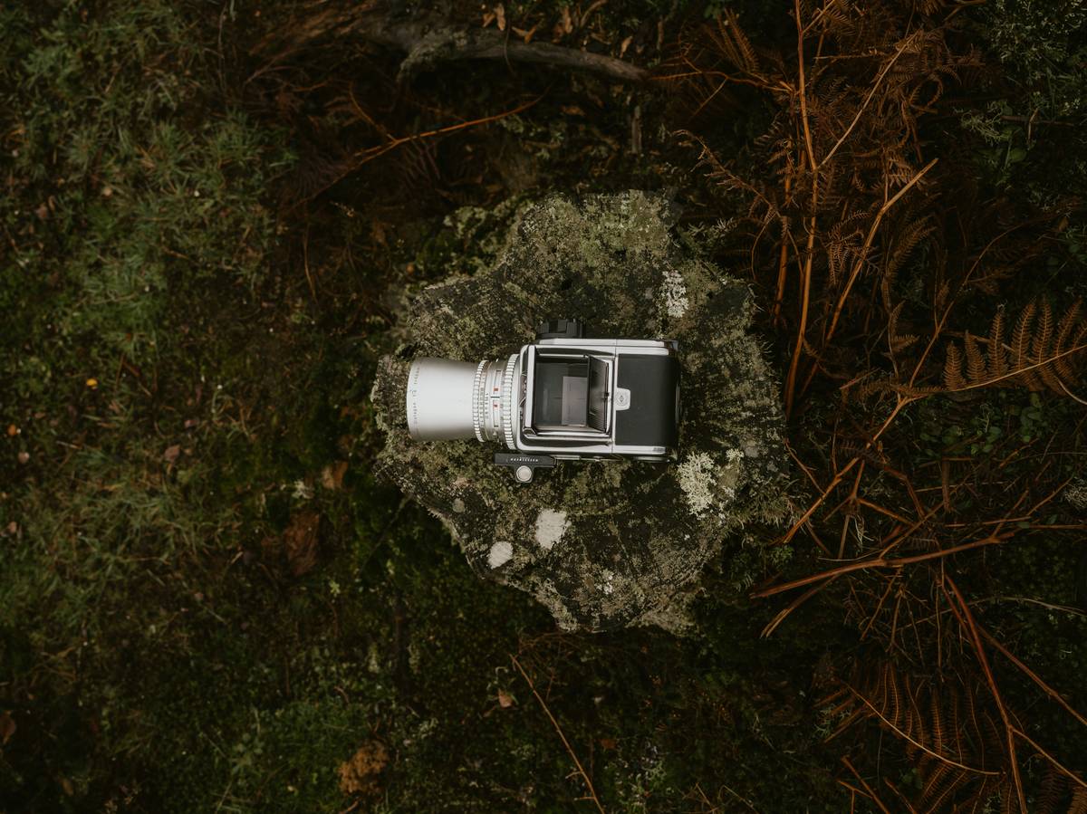 A rugged trail camera mounted on a tree trunk in a misty forest.