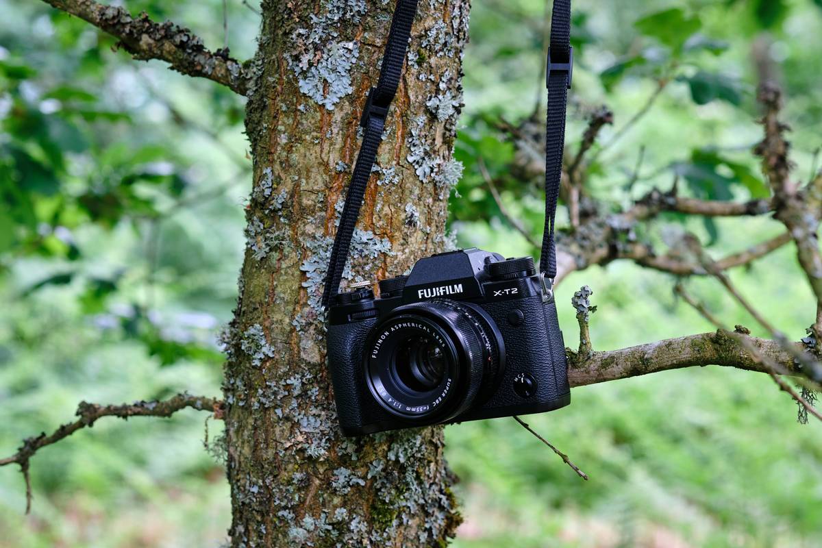 Adventure Shot Maintenance: Master Your Hiking Camera Game Without Losing Your Sanity