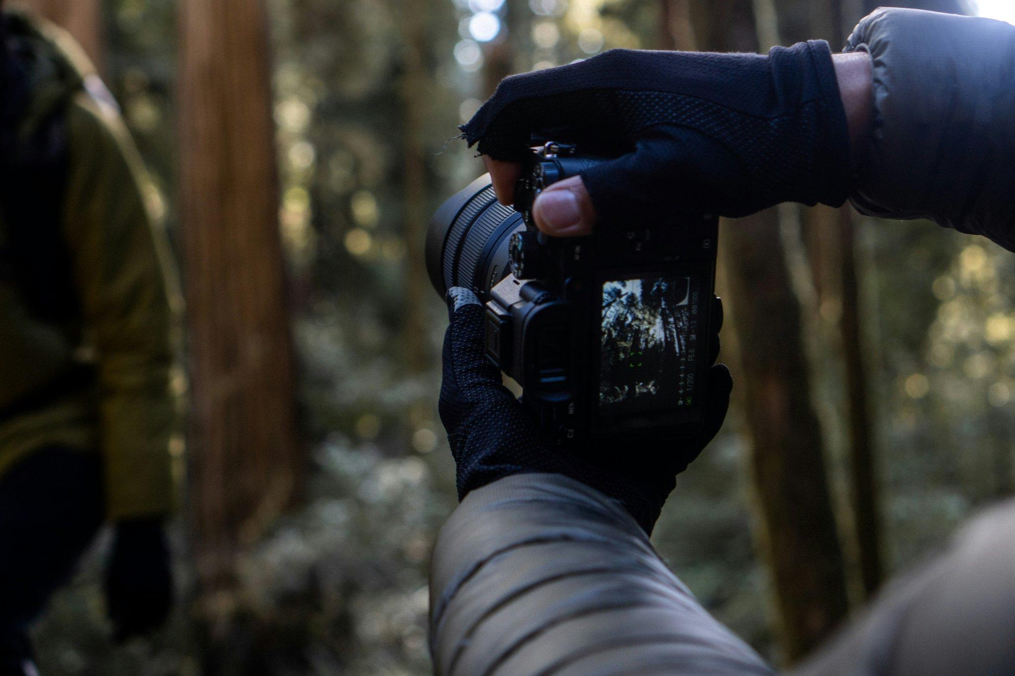 An adventurous hiker taking photos with a high-quality camera amidst lush greenery.