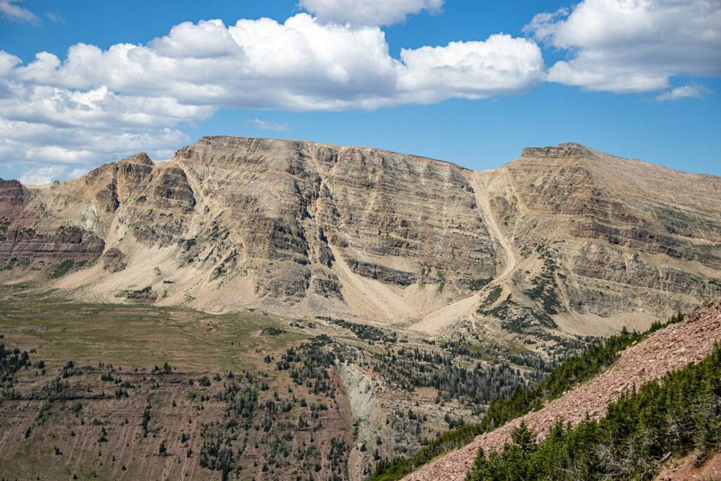Nature Lens Brands Review: Capture the Wild with the Best Hiking Cameras