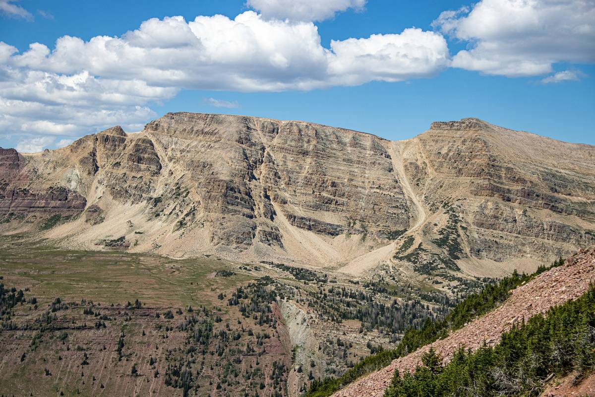 Nature Lens Brands Review: Capture the Wild with the Best Hiking Cameras
