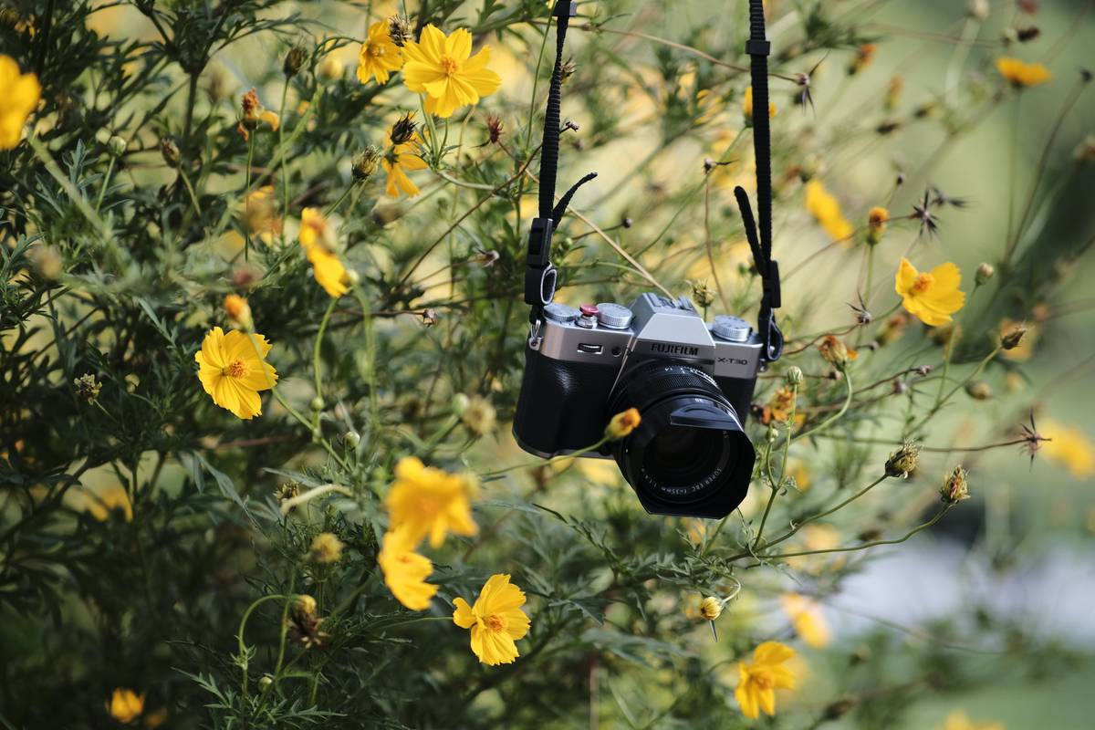 Trek Smarter, Not Harder: Trail Camera Placement Tips Every Hiker Needs to Know