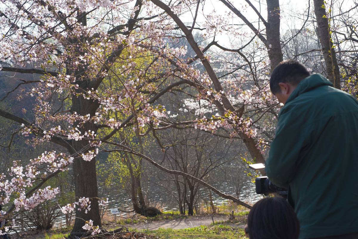 A comparison table showing specs of three popular hiking action cameras side by side.