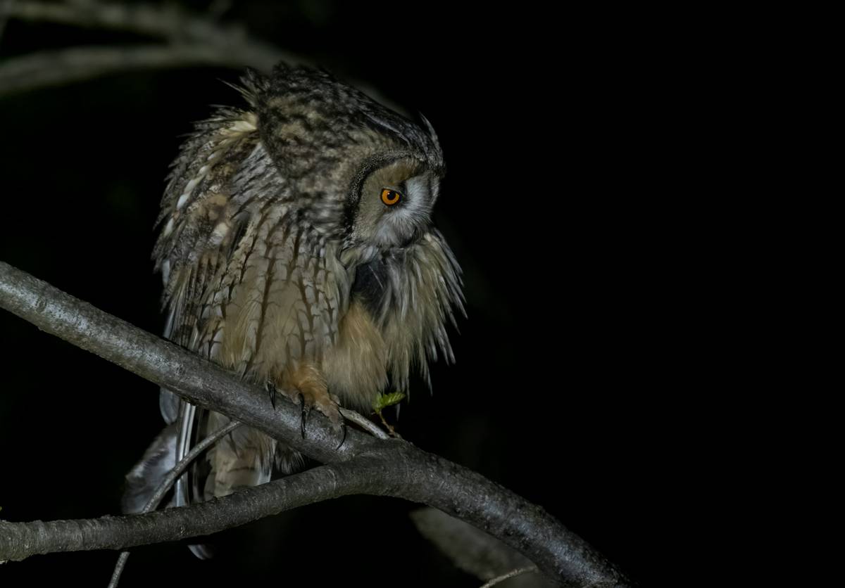 A hiker struggling to use a DSLR while climbing rocky terrain