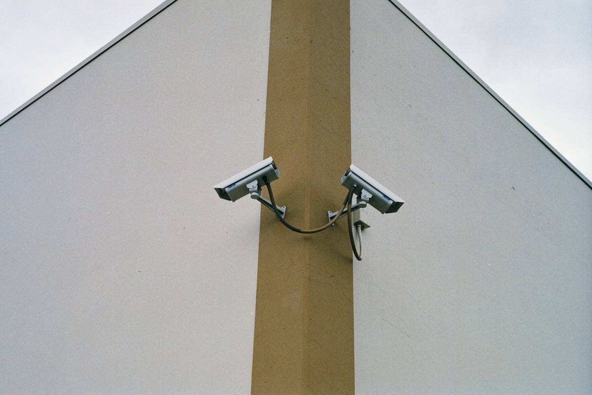 A red fox captured mid-jump in low-light conditions by a trail camera