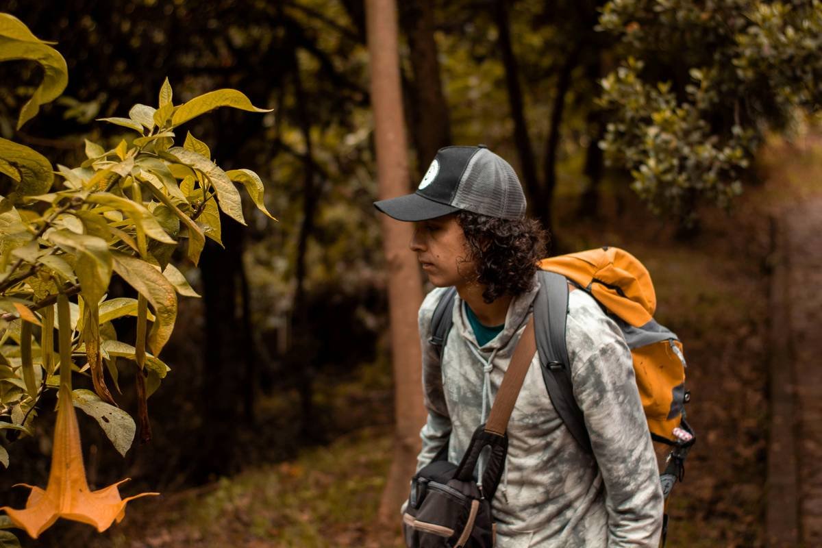 Beautiful wide-angle photo of forest trail during sunset