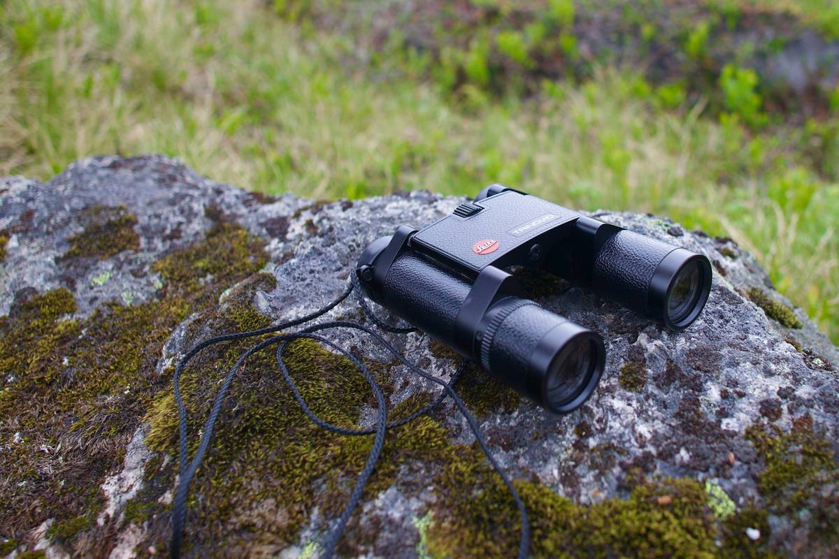 Best Infrared Trail Cameras for Hiking Enthusiasts: Capture the Wild Like Never Before
