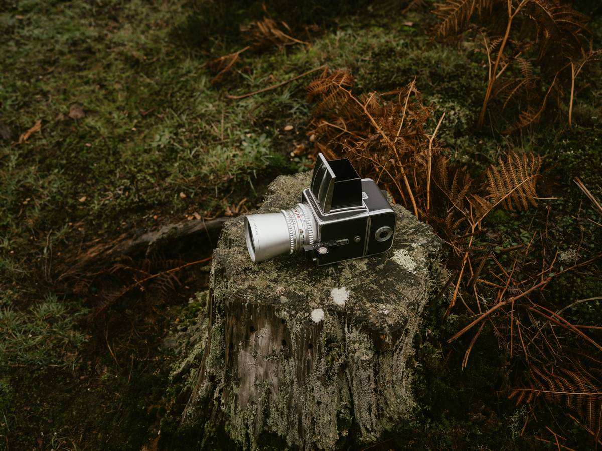 Scenic mountain view captured by a hidden trail camera placed on rocks