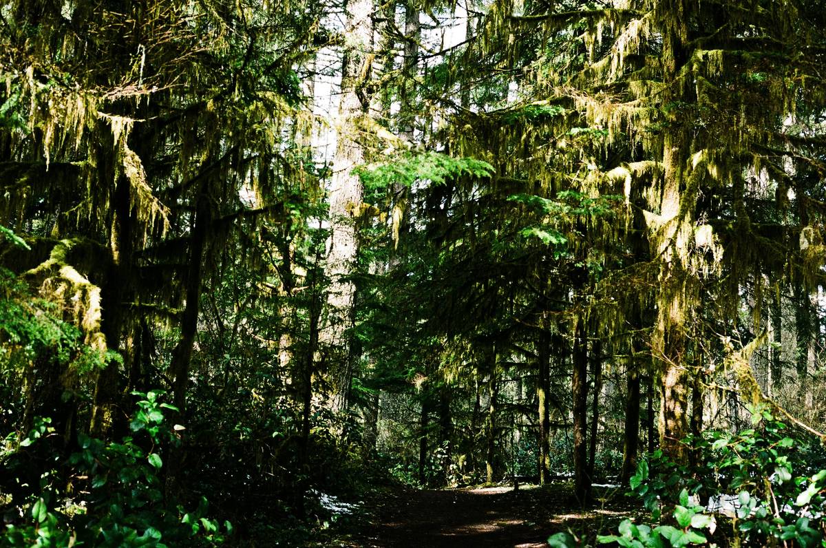 Trail Cam Outdoor: The Ultimate Guide to Capturing Stunning Hiking Moments