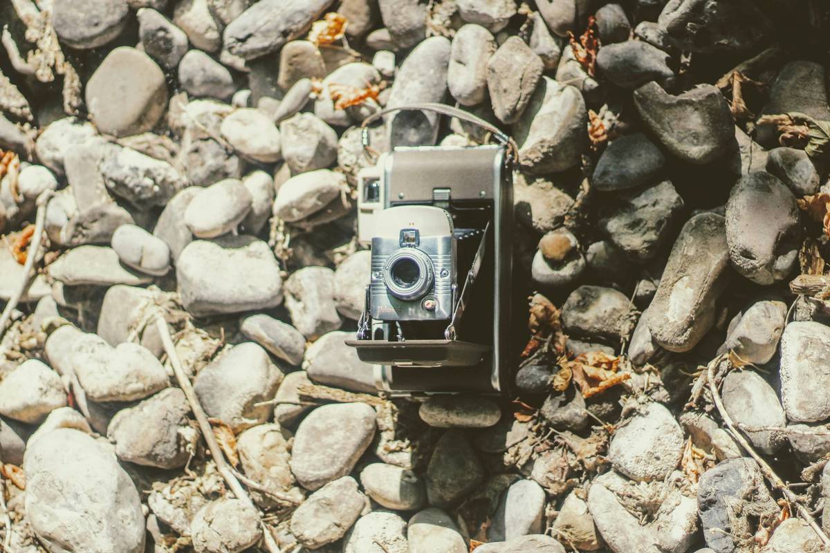 Why Your Next Hiking Adventure Needs a Cellular Trail Camera (And How to Use It)