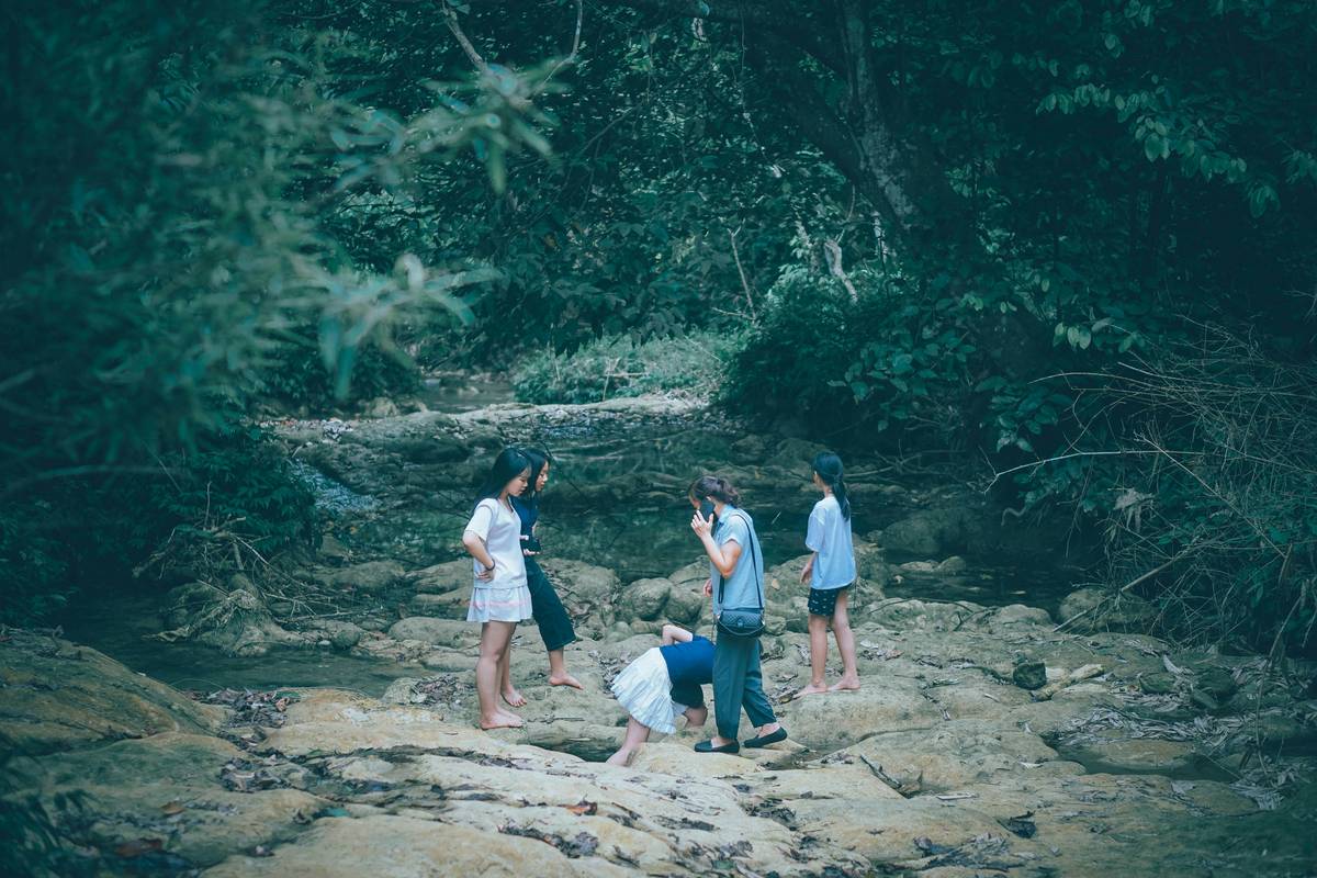 Close-up photograph of an eagle captured using a super telephoto lens