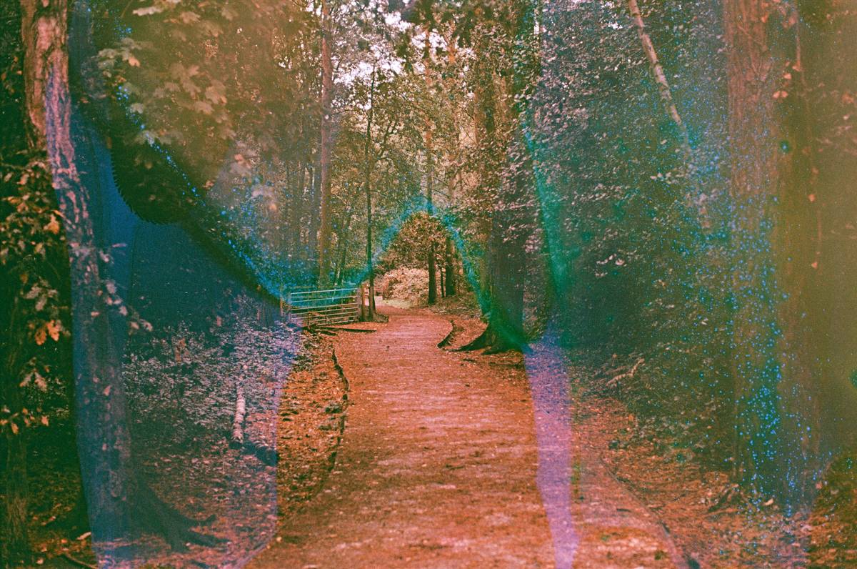 How to Find the Perfect Mountable Adventure Camera for Hiking Enthusiasts