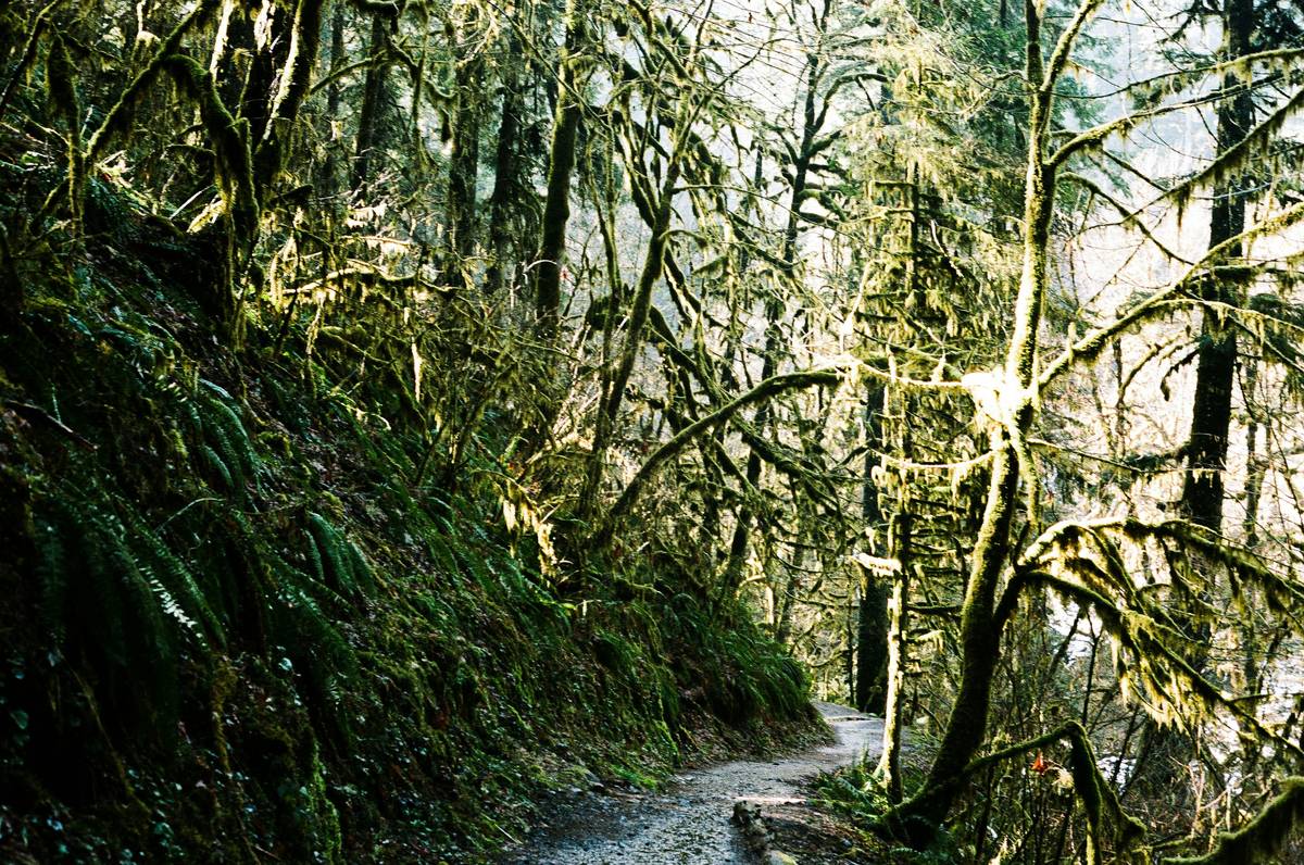 The Best Trail Camera for Hiking Enthusiasts: Capture the Wild Like Never Before