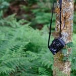 Why a Long Battery Life Trail Camera is Essential for Hiking Enthusiasts
