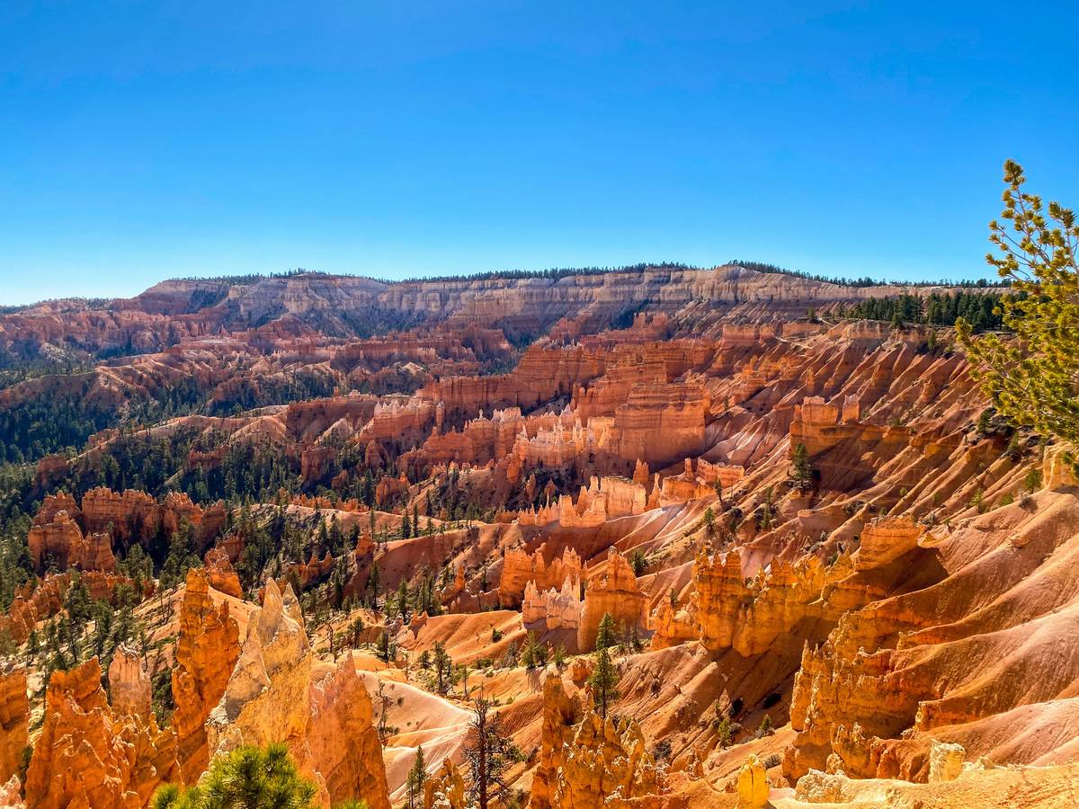 Close-up of a high-quality DSLR camera equipped with a versatile zoom lens designed for outdoor shooting.