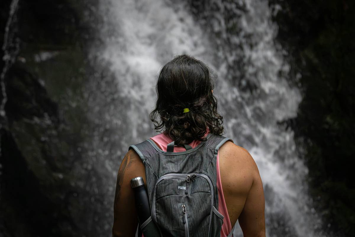Setup of a trail camera mounted on tree during sunset