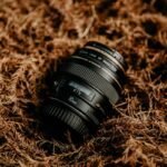 Mastering the Outdoors: Why a Nature Portrait Lens is Your Ultimate Hiking Companion