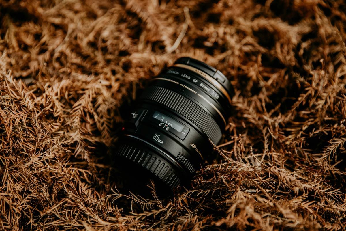 Mastering the Outdoors: Why a Nature Portrait Lens is Your Ultimate Hiking Companion