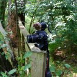 The Ultimate Guide to Game Trail Cameras for Hiking Enthusiasts