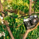 Exploring the Outdoors with a Digital Trail Camera: Your Ultimate Guide