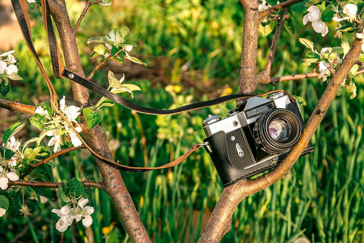 Exploring the Outdoors with a Digital Trail Camera: Your Ultimate Guide