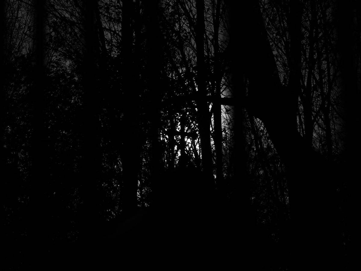 Side-by-side comparison of 850nm vs 940nm infrared trail camera footage showing visible red glow versus invisible no-glow illumination