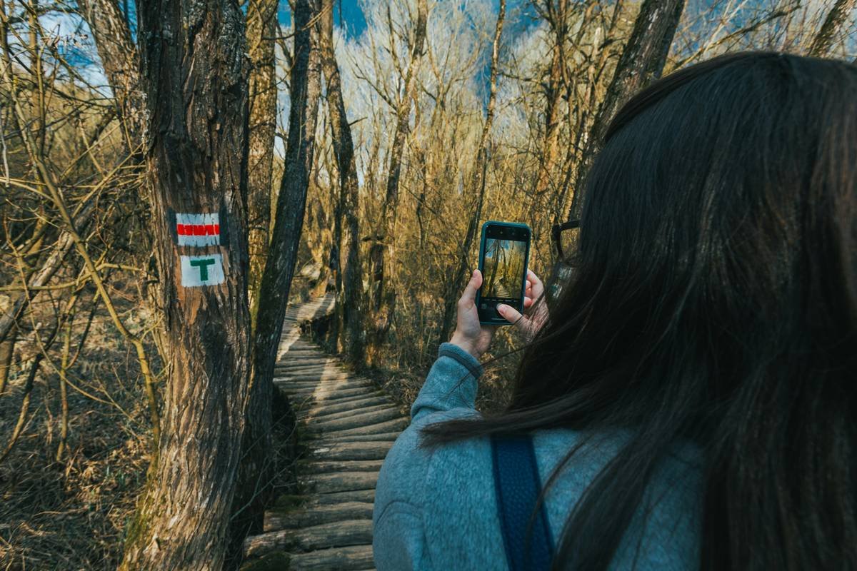 The Ultimate Guide to Choosing the Best Action Camera for Trail Hiking