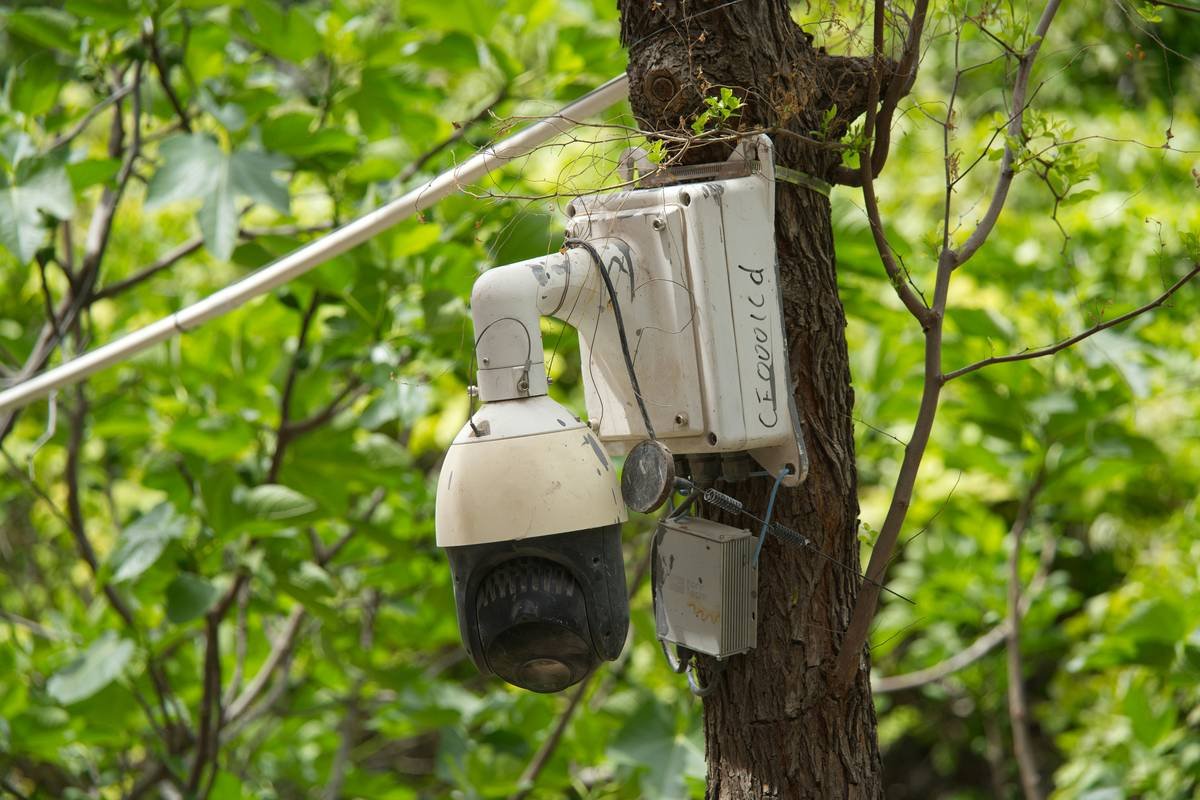 Why Your Hiking Adventures Deserve a Cellular Wireless Trail Camera (And How to Pick the Right One)