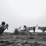 Why Your Telephoto Lens Wildlife Shots Suck (And How to Fix Them on the Trail)