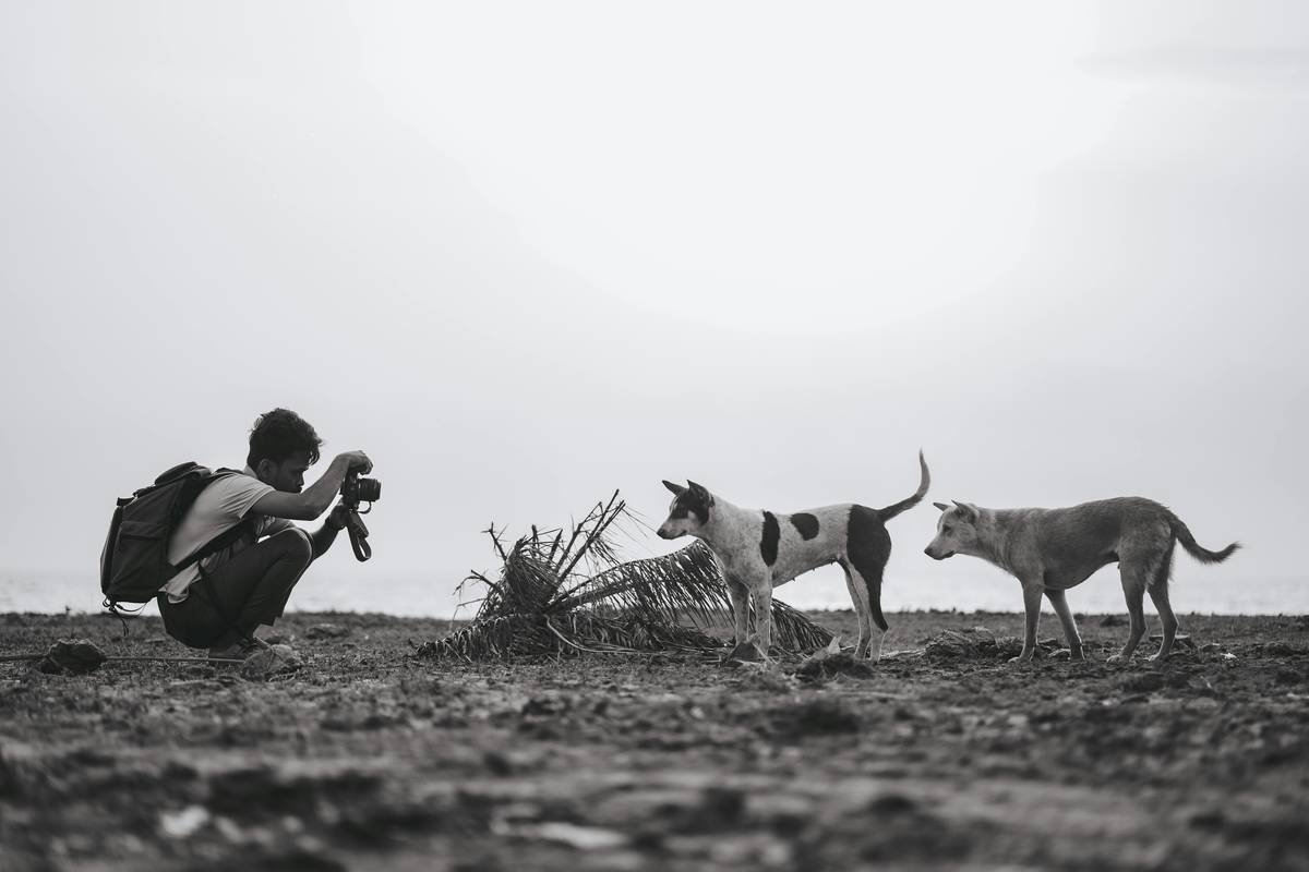 Why Your Telephoto Lens Wildlife Shots Suck (And How to Fix Them on the Trail)