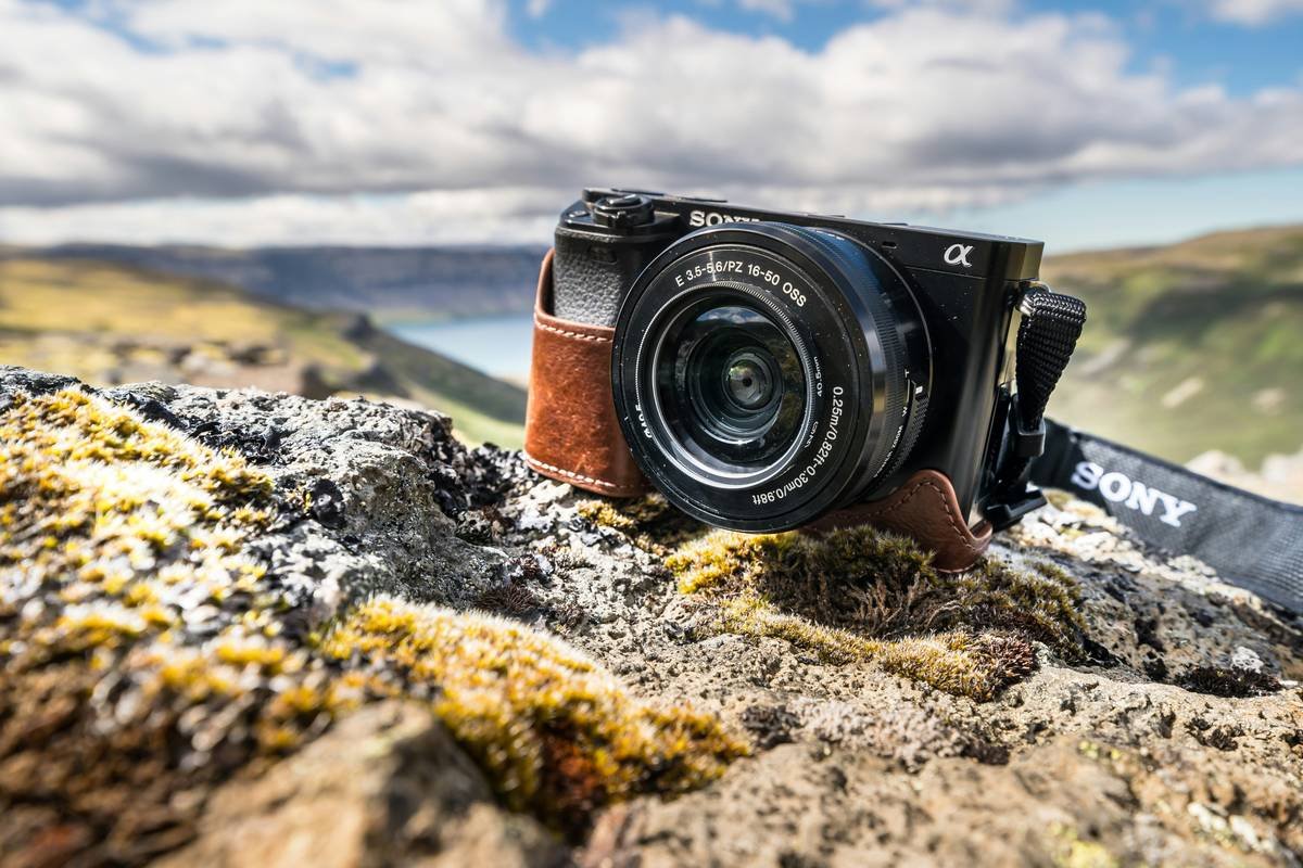 Why Your Trail Camera With Night Mode Might Be Missing the Action (And How to Fix It)