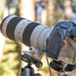 Why Your Trail Footage Sucks (And How a High Sensitivity Trail Camera Fixes It)