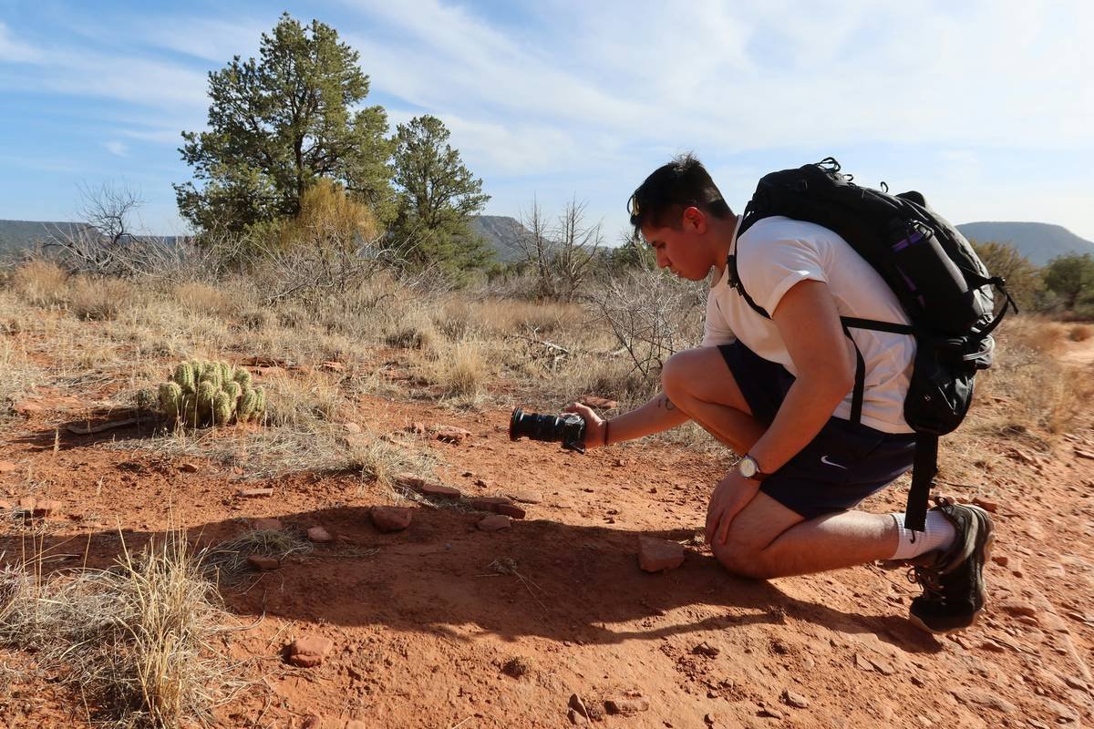 Why Your Wildlife Macro Lens Might Be Ruining Your Hiking Photos (And How to Fix It)