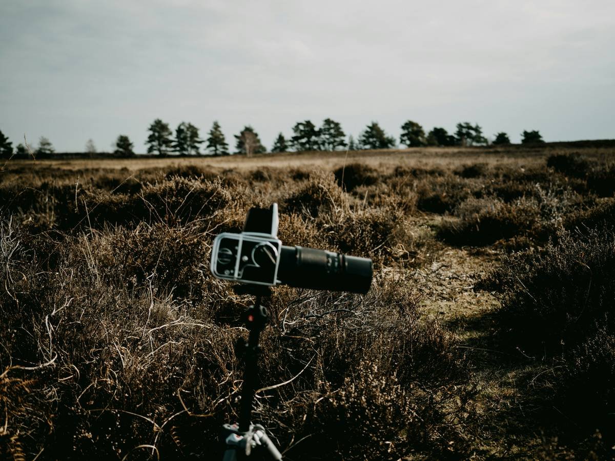 Comparison chart showing battery life, image quality, and connectivity of top 5 trail cameras with live view in 2024