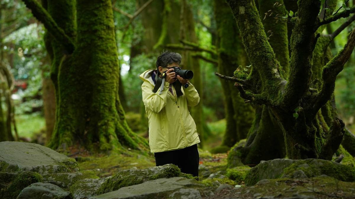 Comparison chart showing weight, focal range, and stabilization features of top 5 handheld nature lenses for hikers