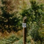 Trail Camera with Live View: Your Ultimate Hiking Companion for Real-Time Wildlife & Trail Insights