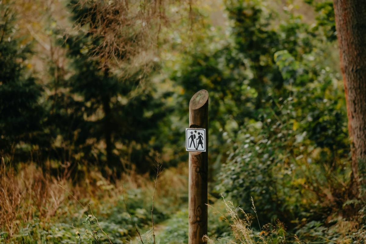 Trail Camera with Live View: Your Ultimate Hiking Companion for Real-Time Wildlife & Trail Insights