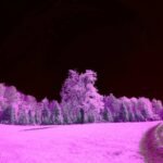 Why Your Hiking Footage Sucks (And How a Trail Cam with Infrared Fixes It)