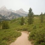 Why Your Hiking Shots Suck (And How a Nature Zoom Lens Macro Fixes It)