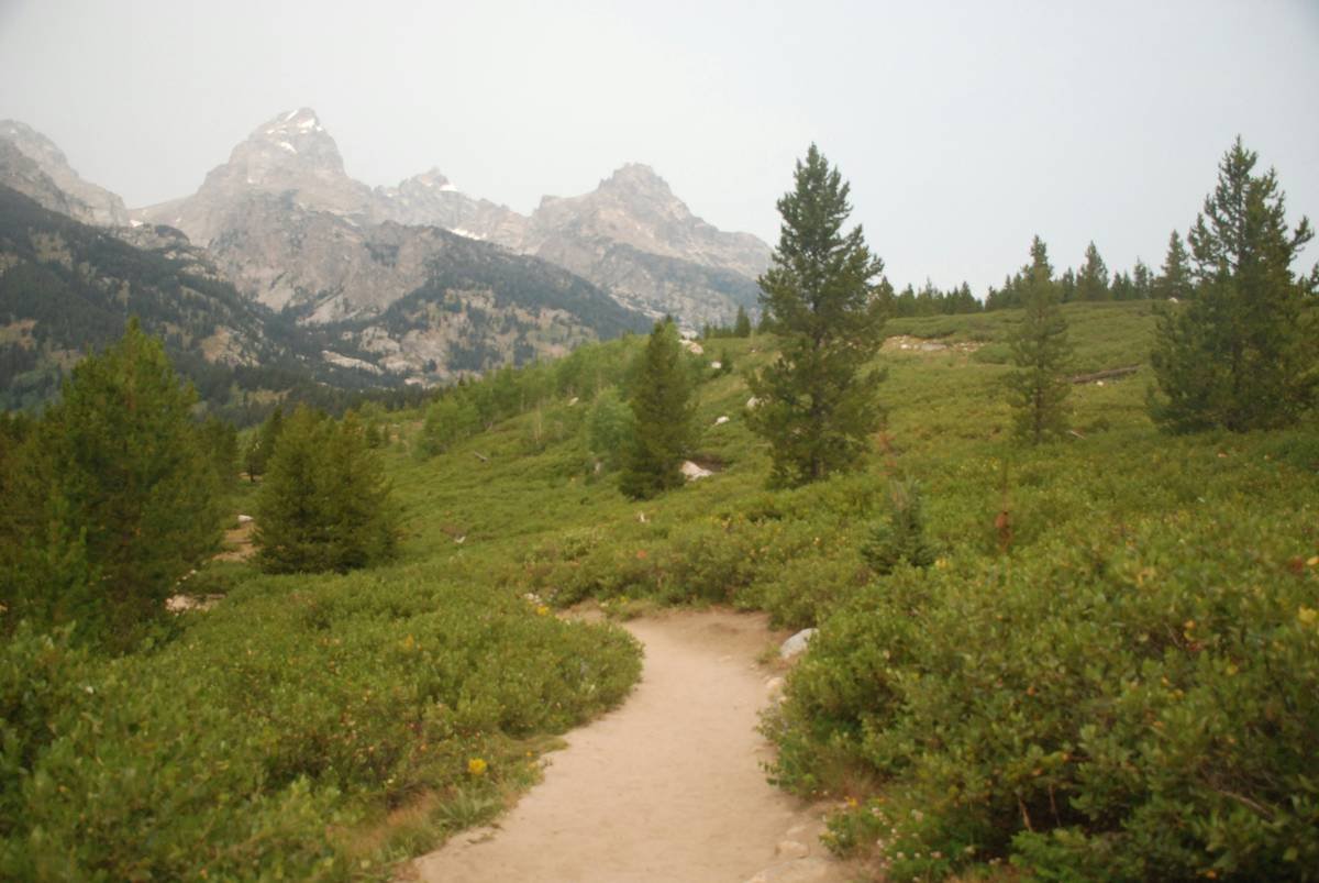 Why Your Hiking Shots Suck (And How a Nature Zoom Lens Macro Fixes It)