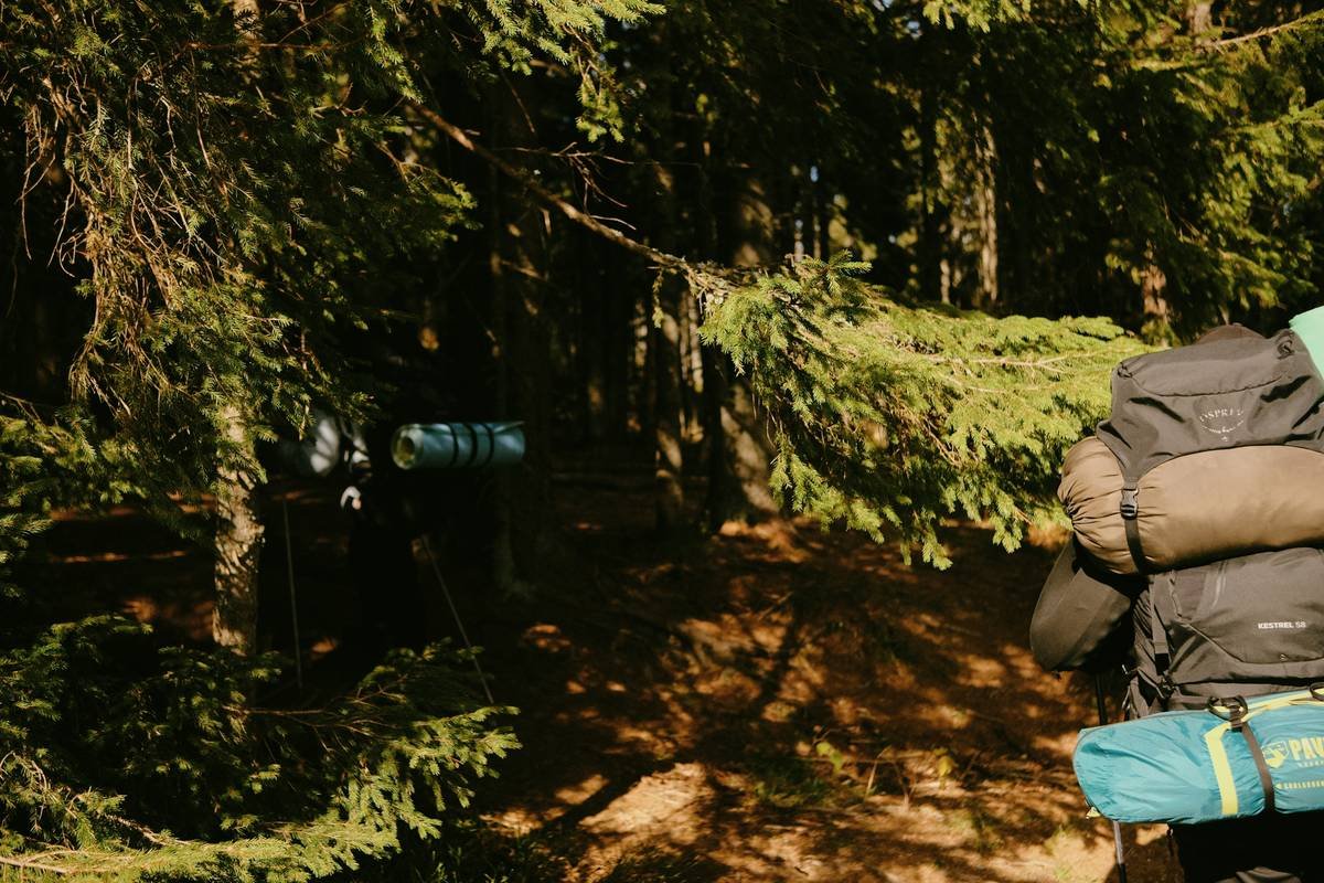 A man with a backpack is walking through the woods