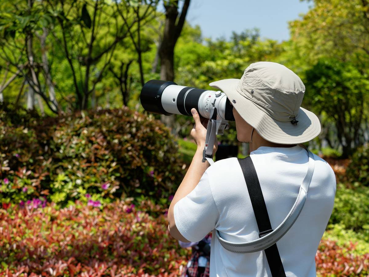 Comparison chart of top wildlife prime zoom lenses showing focal length, weight, and price