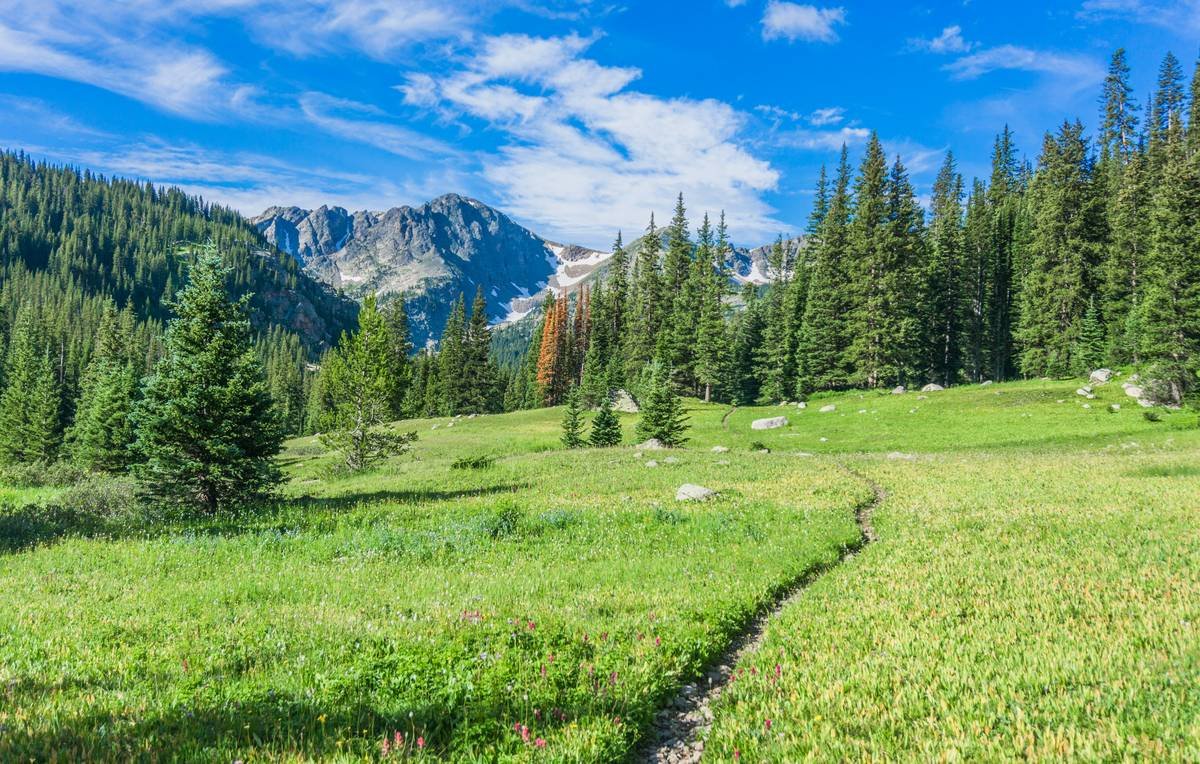 Healthy summer mountains and endless miles of singletrack beckon.