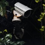 Trail Cam Waterproof: Your Ultimate Guide to Capturing Wilderness Footage Without the Worry