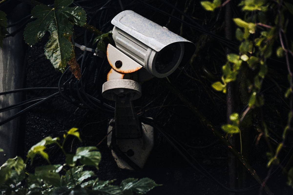 Trail Cam Waterproof: Your Ultimate Guide to Capturing Wilderness Footage Without the Worry