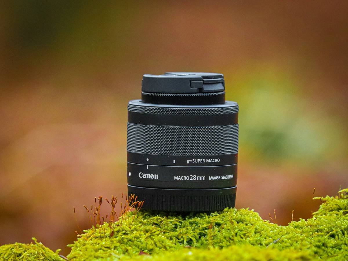 Compact hiking-ready nature zoom lens kit mounted on mirrorless camera in misty forest